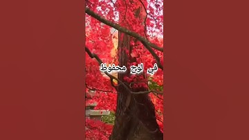 سورة البروج بصوت أحمد الخضر ♥️#سورة البروج #القرآن_الكريم