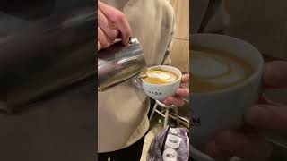 Cappuccino swan ? #swan #shortvideo #viral