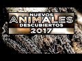 TOP 5 Nuevos ANIMALES descubiertos [Ed. 2017]