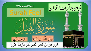 105 Surat Al Fil (The Elephant) | Maqsood Voice | سورة الفيل