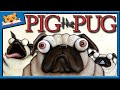 story time  pig the pug   tigerbear bedtime stories read aloud