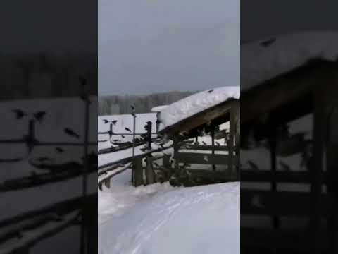 Зарисовка на 3 февраля