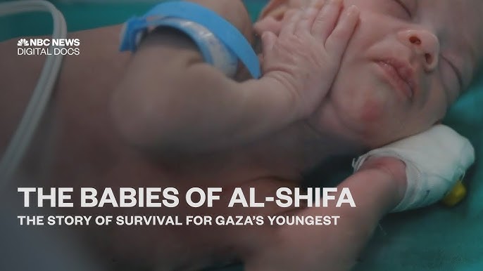 The Babies Of Al Shifa The Story Of Survival For Gaza S Youngest