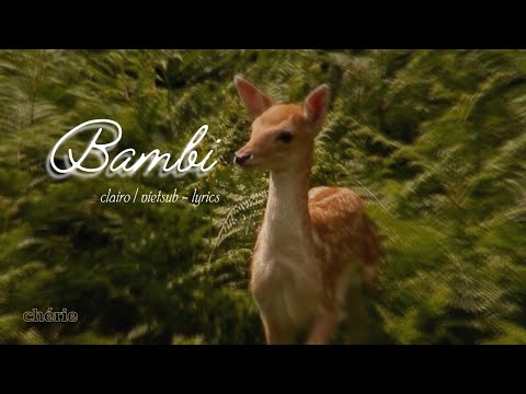 VietsubLyrics Bambi | Clairo