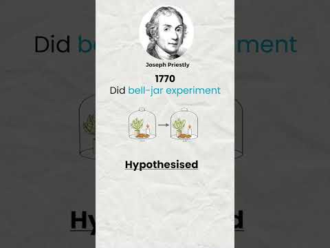 Video: Kas yra Josepho Priestley eksperimentas?