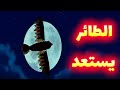 خطة فليك تعود للحياة فيلم حياة حشرة مدبلج كامل 