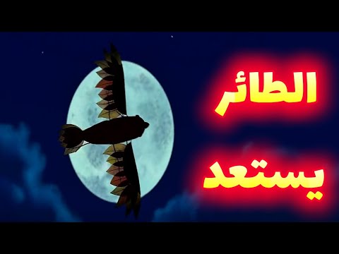 خطة فليك تعود للحياة فيلم حياة حشرة مدبلج كامل 
