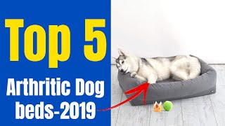 Top 5 Best Dog Beds for Arthritic Dogs in 2019