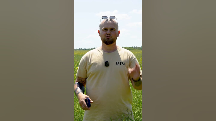 Виростити ріпак у 2025? Справжній квест! - Те, що треба! #shorts #shortsvideo #ріпак #агрономія