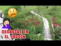 El JARDÍN DE MARIPOSAS es un DESASTRE TOTAL: Haciendo mantenimiento a las plantas │Candy Bu