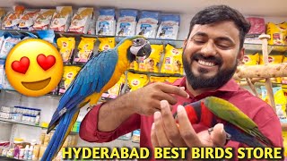 Best Price Birds Shop in Hyderabad | Best Quality Birds Store