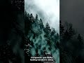 The Dark History of Aokigahara