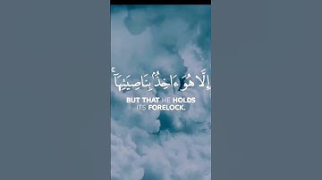 سورة هود 🕋 الاية 56