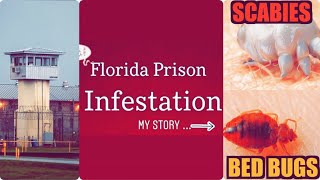 FLORIDA PRISON INFESTATIONS! | Kfrogtv