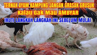 HAL HAL YANG PERLU DIPERSIAPKAN SAAT MULAI BETERNAK AYAM KAMPUNG