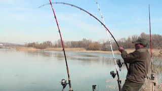 Поклёвка и вываживание крупного сома, КРУТО!!! Spinning, fishing, big catfish, nice, cool, bigfish!