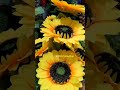 Sunflower🌻artificial flower for home decoration #decor #showpiece #homedecoritem