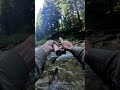 такую полноводную реку в Карпатах каждый раз встретить всё тяжелее и тяжелее #fishing  #flyfishing