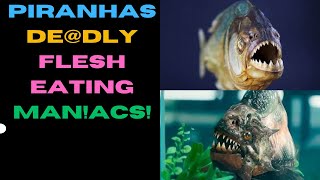 Piranhas-Deaddly Flesh eating TERR0R! #wildanimals #wildlife #animals #sea #piranha #fish #shark