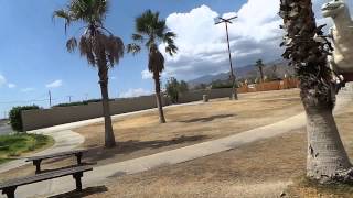 Giant Dinosaurs at Cabazon, CA, 2013