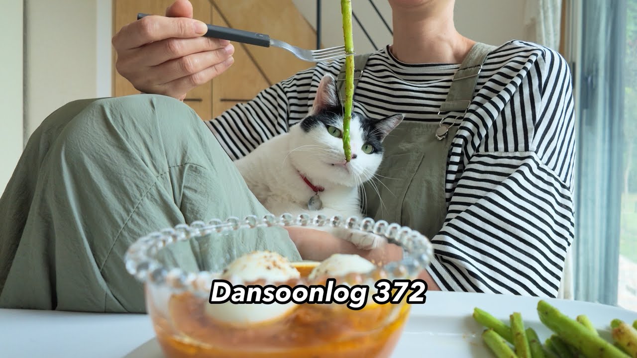 단순로그372 작은집, 작은 부엌에서 매일 차려 먹는 담백한 시골 집밥🥘 vlog