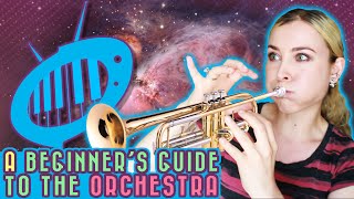 A Beginner’s Guide to the Orchestra (Part 1)