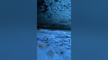 سورة النجم برواية إبن جماز عن ابي جعفر