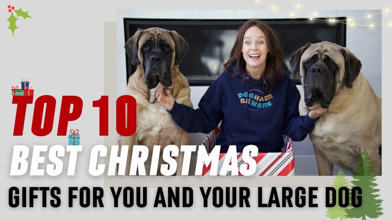 10 Christmas Gifts for Your Dog