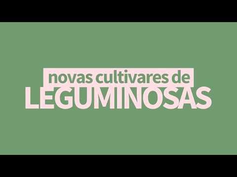 Vídeo: O que são leguminosas perenes: como cultivar leguminosas perenes no jardim