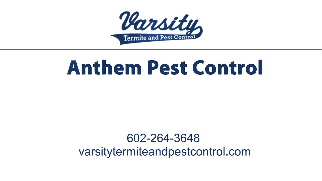 Anthem Pest Control Varsity Termite & Pest Control YouTube