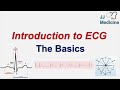 Introduction to ECG | The Basics | ECG Paper, PQRST wave, Rate, Rhythm, Axis and Interval