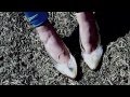 The Knife - We asked our friends and lovers to help us