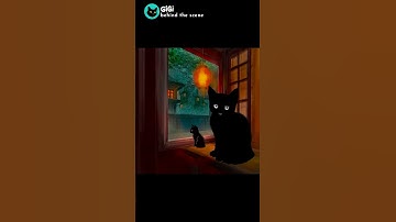 Window Kittens | Timelapse