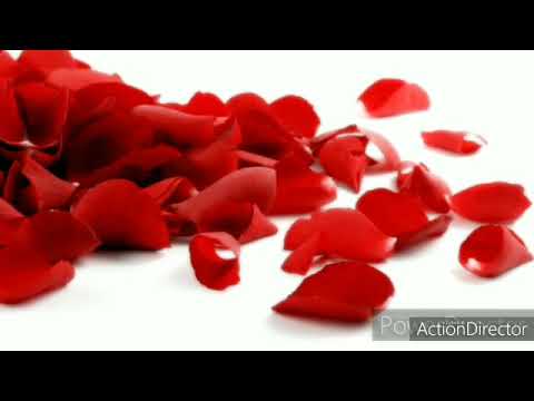 Onanizm bilan ushlangan (ruscha video) Anusni tozalash