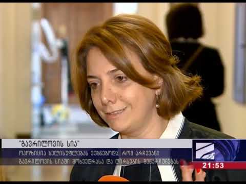 სააკაშვილის პარტიის წევრი სალომე სამადაშვილი უმრავლესობის დეპუტატებს „გავრილოვის სიით“ ემუქრება