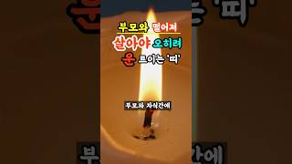 부모 자식간에 떨어져살아야! 운이 좋아지는 띠궁합 | 띠운세 | 풍수