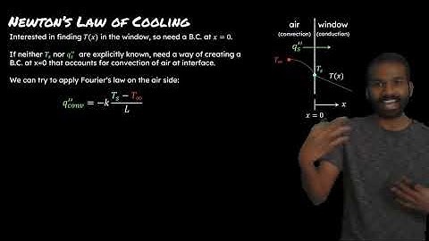 Boundary Conditions and Newton