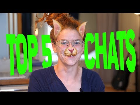 TOP 5 des meilleurs jeux de CHATS