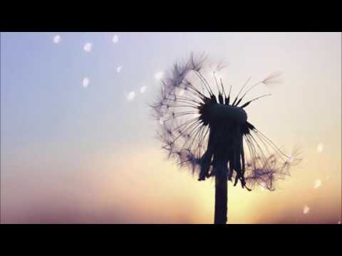 counting crows catapult live at chelsea studios new york 1997