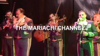 Video thumbnail of "Sabor a Mi -  Mariachi Mexicanisimo de Raymundo Coronado"