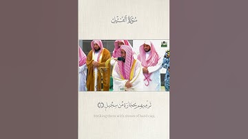 "تبارك الله! تلاوة عذبة تنساب إلى القلب🤍"قطف من مغرب29-11-1444هـ.| أ.د. #عبدالله_الجهني سورة الفيل