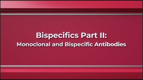 Bispecifics Part 2: Monoclonal and Bispecific Antibodies