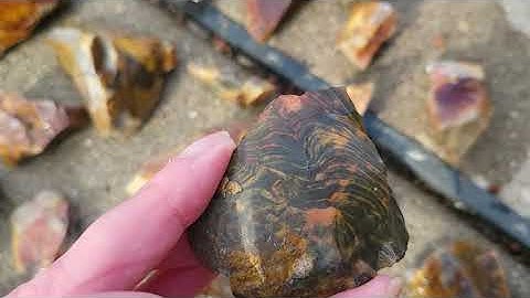 Hunting for Flint at Nethers Farm