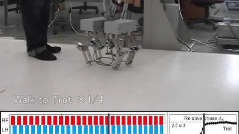 Walk to trot transition at slow speed.mpg