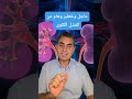 عاجل وخطير وهام بخصوص اول علامه تدل على تأثر الكلى قبل تأثر تحليل وظائف الكلى دكتوروليدشوقى الكلى 