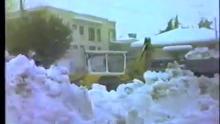 La grande nevicata del 1985