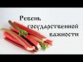 Ревень государственной важности