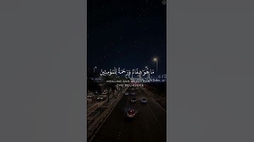 #تلاوات #تلاوات_خاشعة #تلاوة #تلاوة_خاشعة #القرآن #القرآن_الكريم #quran #القارئ #رعد_الكردي