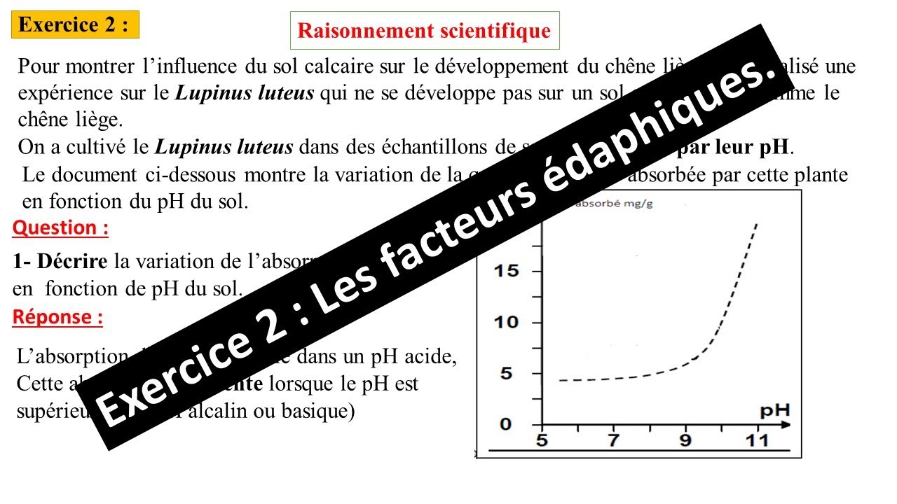 Exercice 2 : Les facteurs édaphiques/ Sortie écologique.