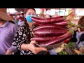 Market show - Buy long and big eggplant from the market - Yummy eggplant chopped fresh shrimp recipe
